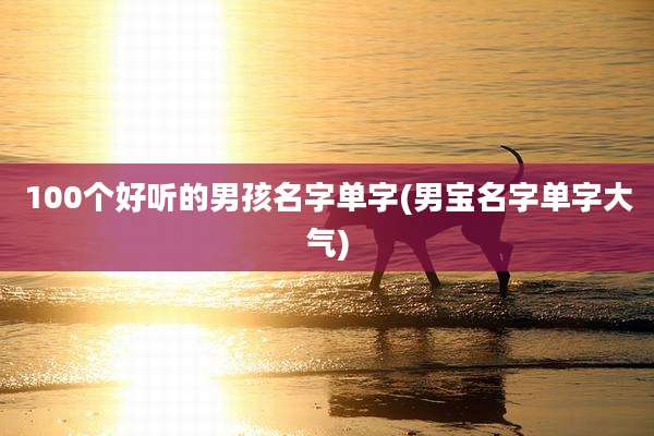 100个好听的男孩名字单字(男宝名字单字大气)