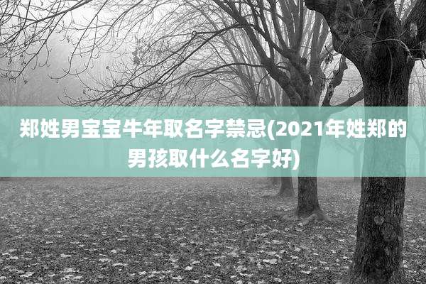 郑姓男宝宝牛年取名字禁忌(2021年姓郑的男孩取什么名字好)