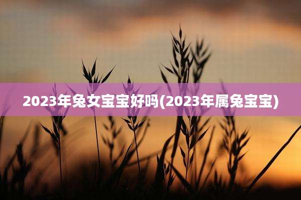 2023年兔女宝宝好吗(2023年属兔宝宝)