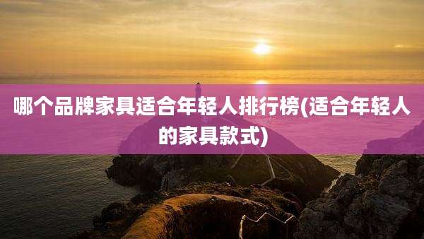 哪个品牌家具适合年轻人排行榜(适合年轻人的家具款式)