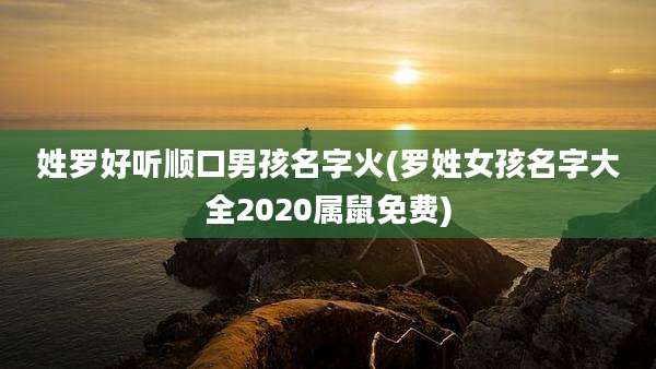 姓罗好听顺口男孩名字火(罗姓女孩名字大全2020属鼠免费)