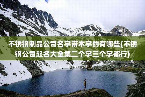 不锈钢制品公司名字带木字的有哪些(不锈钢公司起名大全集二个字三个字都行)