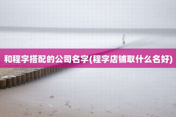 和程字搭配的公司名字(程字店铺取什么名好)