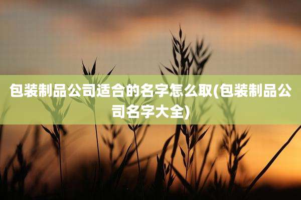 包装制品公司适合的名字怎么取(包装制品公司名字大全)
