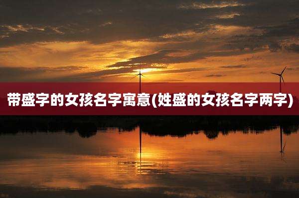 带盛字的女孩名字寓意(姓盛的女孩名字两字)
