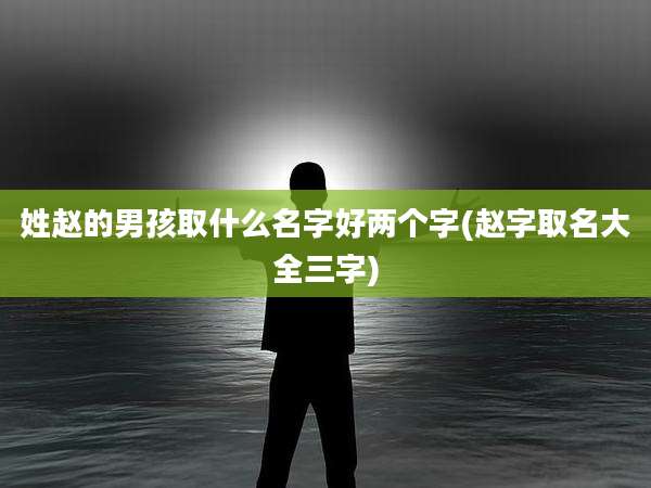 姓赵的男孩取什么名字好两个字(赵字取名大全三字)