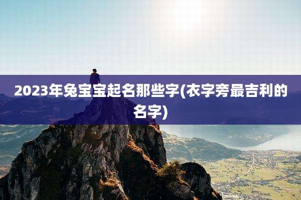 2023年兔宝宝起名那些字(衣字旁最吉利的名字)