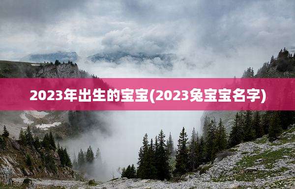 2023年出生的宝宝(2023兔宝宝名字)