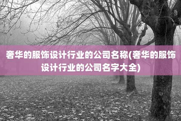 奢华的服饰设计行业的公司名称(奢华的服饰设计行业的公司名字大全)