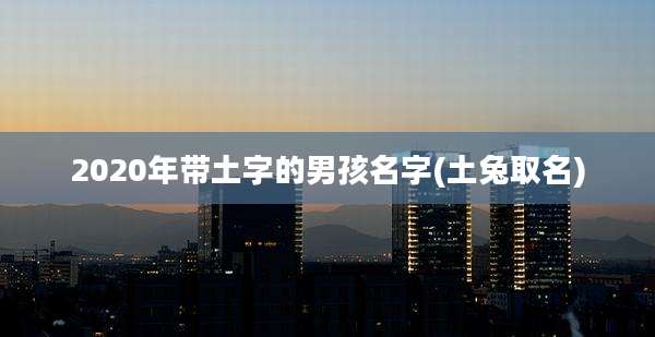 2020年带土字的男孩名字(土兔取名)