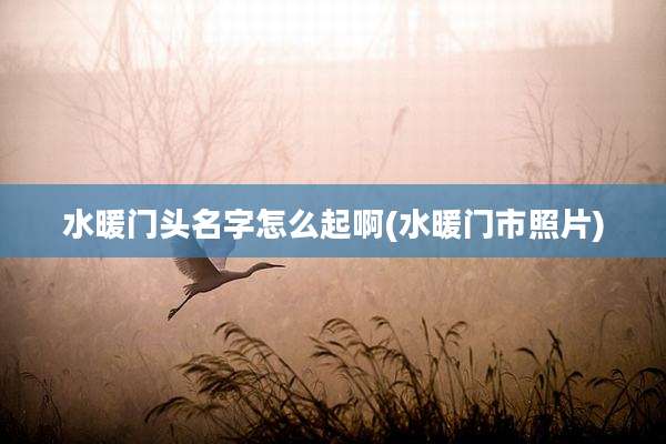 水暖门头名字怎么起啊(水暖门市照片)
