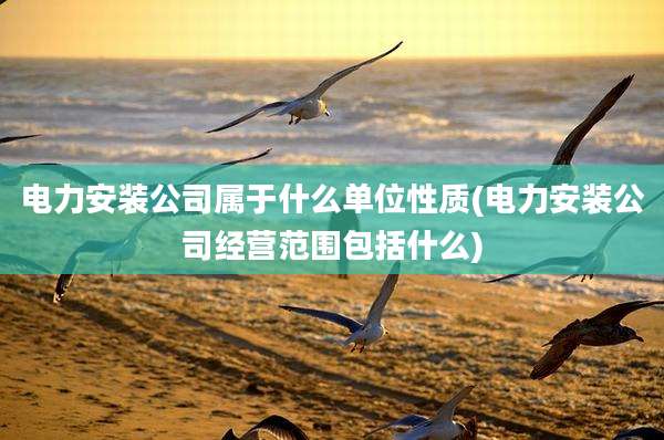 电力安装公司属于什么单位性质(电力安装公司经营范围包括什么)