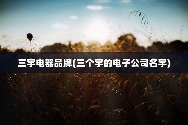 三字电器品牌(三个字的电子公司名字)