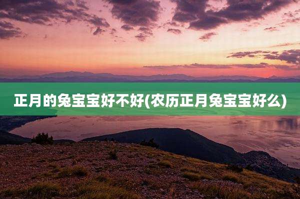 正月的兔宝宝好不好(农历正月兔宝宝好么)