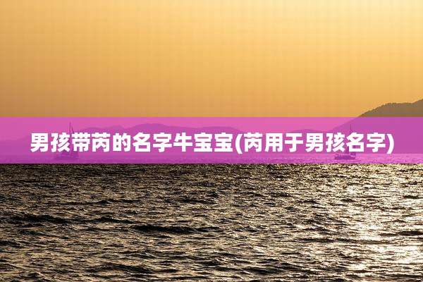 男孩带芮的名字牛宝宝(芮用于男孩名字)