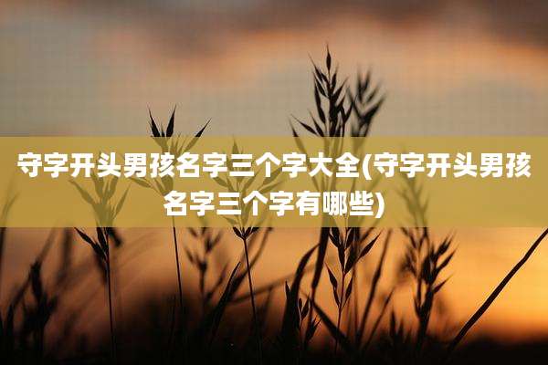 守字开头男孩名字三个字大全(守字开头男孩名字三个字有哪些)