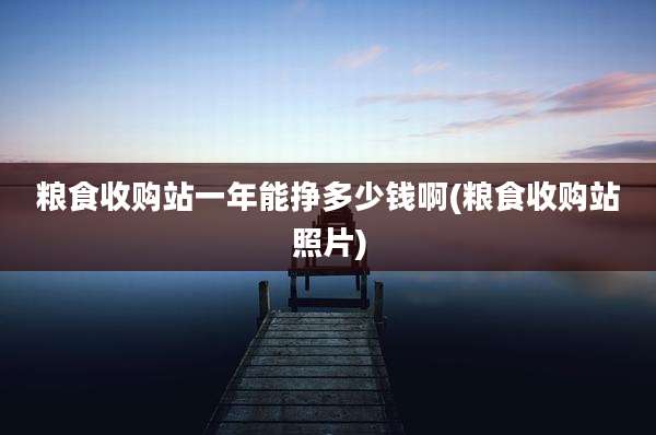 粮食收购站一年能挣多少钱啊(粮食收购站照片)