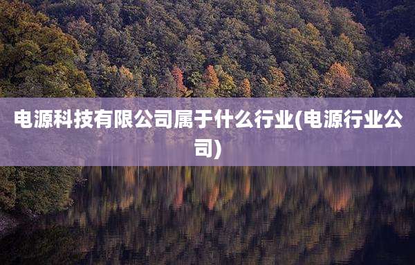 电源科技有限公司属于什么行业(电源行业公司)