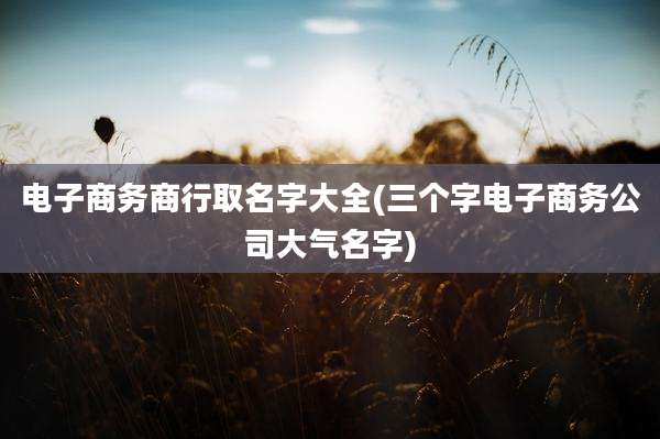 电子商务商行取名字大全(三个字电子商务公司大气名字)