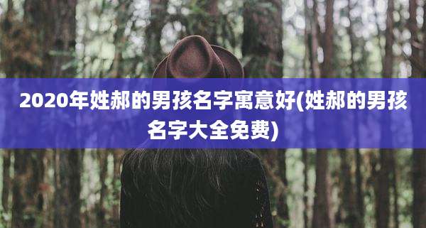 2020年姓郝的男孩名字寓意好(姓郝的男孩名字大全免费)