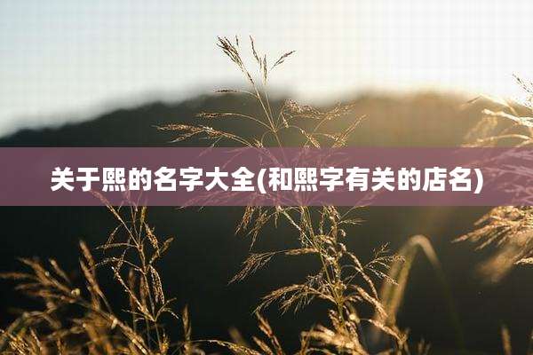 关于熙的名字大全(和熙字有关的店名)