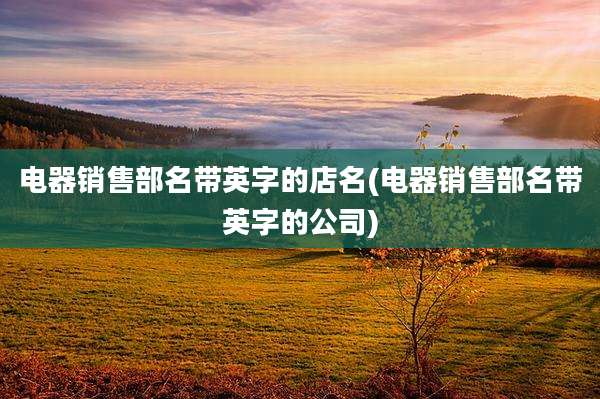 电器销售部名带英字的店名(电器销售部名带英字的公司)