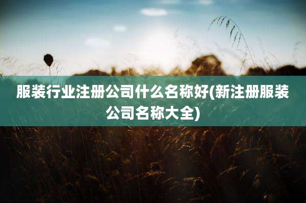 服装行业注册公司什么名称好(新注册服装公司名称大全)