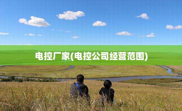 电控厂家(电控公司经营范围)