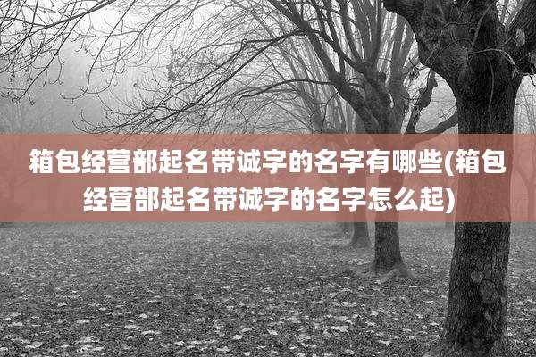 箱包经营部起名带诚字的名字有哪些(箱包经营部起名带诚字的名字怎么起)