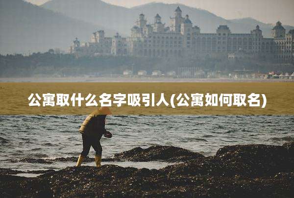公寓取什么名字吸引人(公寓如何取名)