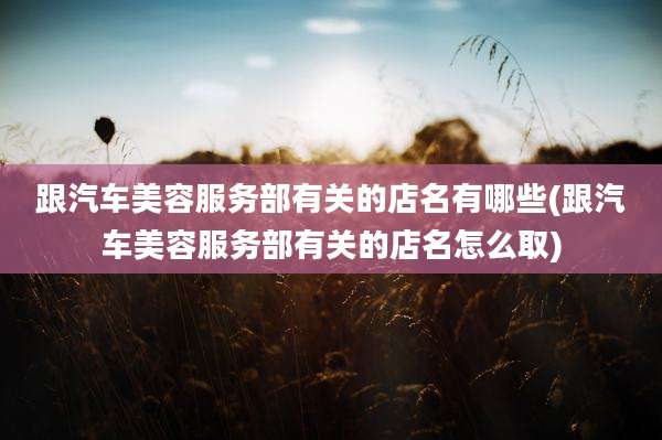 跟汽车美容服务部有关的店名有哪些(跟汽车美容服务部有关的店名怎么取)