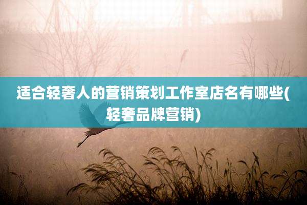 适合轻奢人的营销策划工作室店名有哪些(轻奢品牌营销)