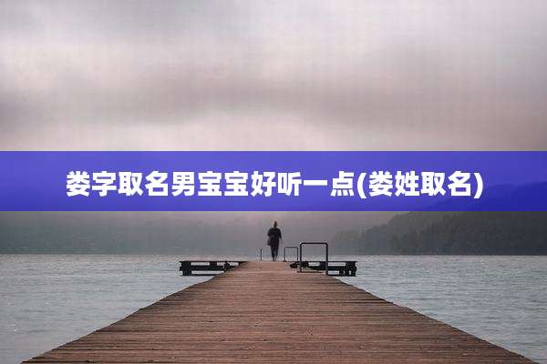 娄字取名男宝宝好听一点(娄姓取名)