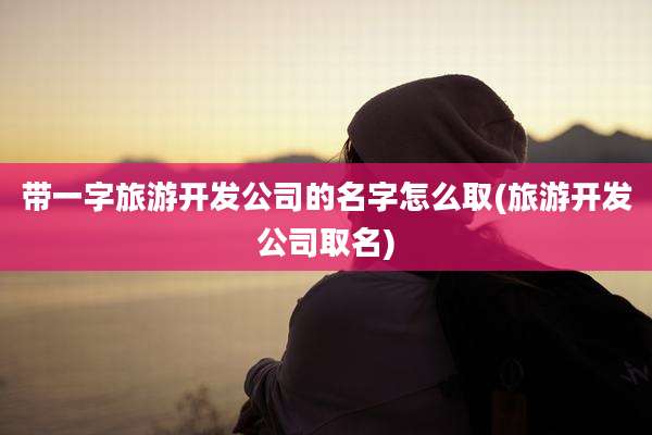 带一字旅游开发公司的名字怎么取(旅游开发公司取名)