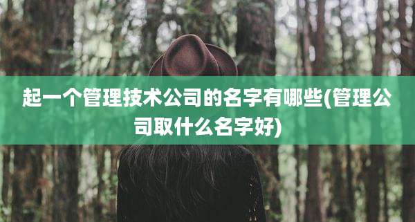 起一个管理技术公司的名字有哪些(管理公司取什么名字好)