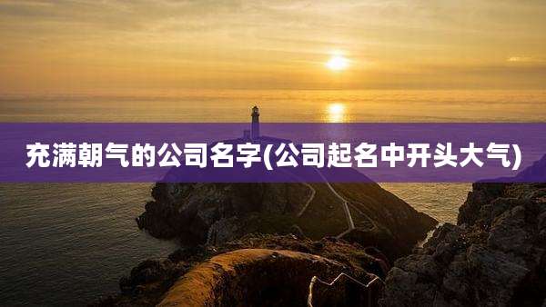充满朝气的公司名字(公司起名中开头大气)