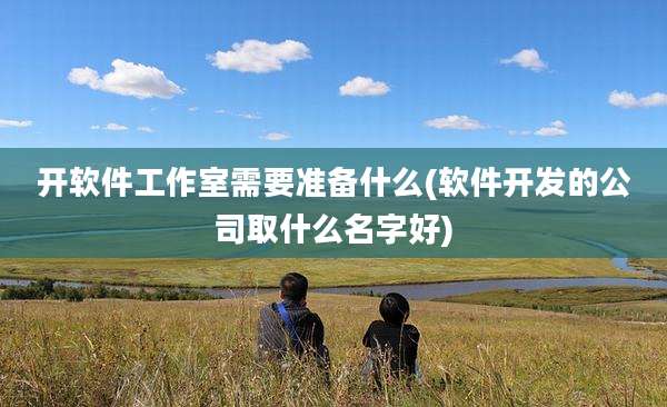 开软件工作室需要准备什么(软件开发的公司取什么名字好)