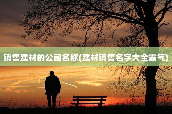销售建材的公司名称(建材销售名字大全霸气)