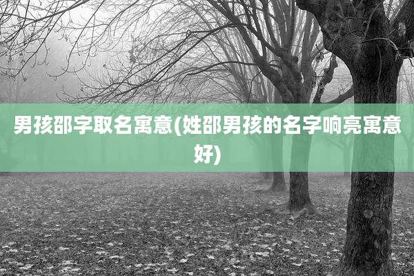 男孩邵字取名寓意(姓邵男孩的名字响亮寓意好)