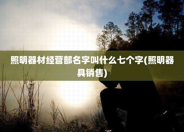 照明器材经营部名字叫什么七个字(照明器具销售)