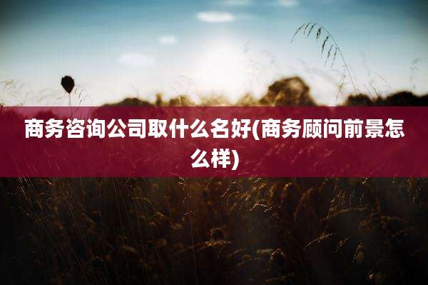 商务咨询公司取什么名好(商务顾问前景怎么样)