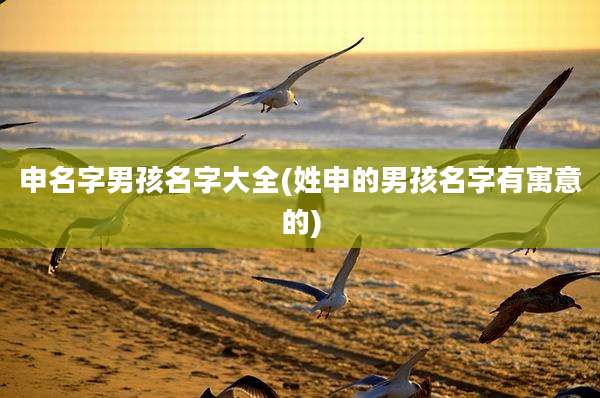 申名字男孩名字大全(姓申的男孩名字有寓意的)