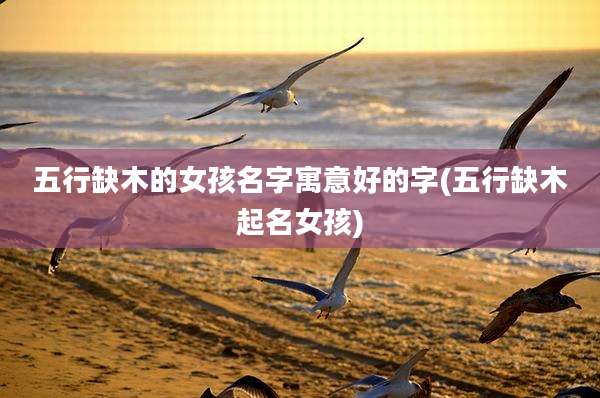 五行缺木的女孩名字寓意好的字(五行缺木起名女孩)