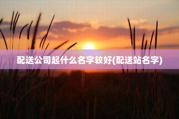 配送公司起什么名字较好(配送站名字)