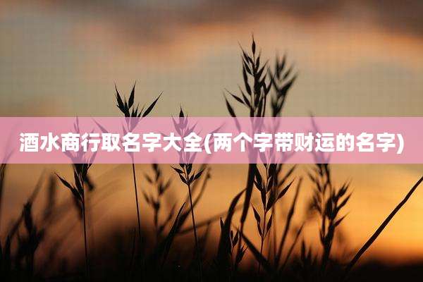 酒水商行取名字大全(两个字带财运的名字)