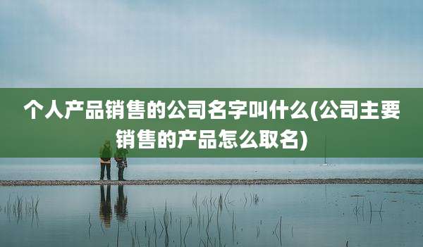 个人产品销售的公司名字叫什么(公司主要销售的产品怎么取名)