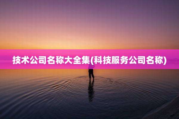 技术公司名称大全集(科技服务公司名称)