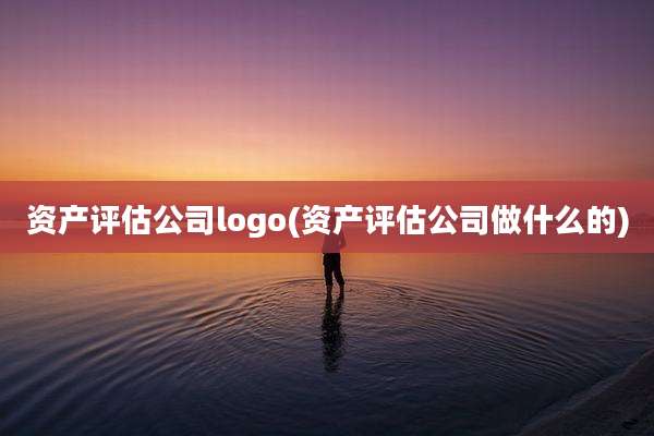 资产评估公司logo(资产评估公司做什么的)