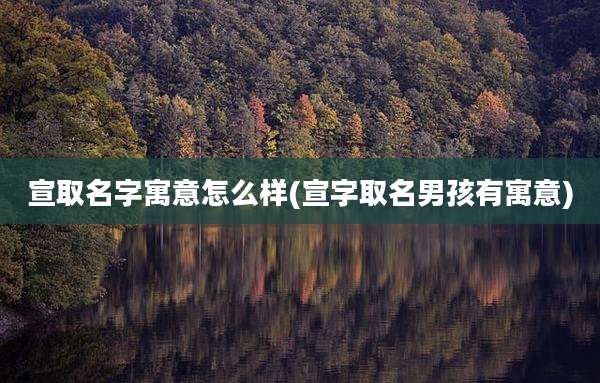宣取名字寓意怎么样(宣字取名男孩有寓意)