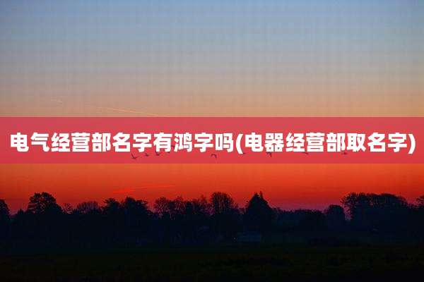 电气经营部名字有鸿字吗(电器经营部取名字)